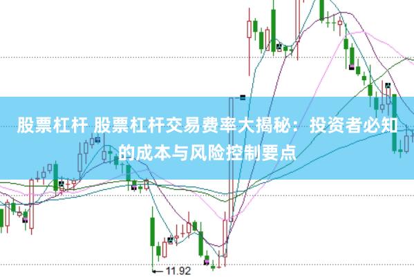 股票杠杆 股票杠杆交易费率大揭秘：投资者必知的成本与风险控制要点