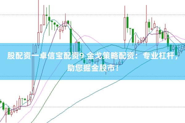 股配资一卓信宝配资9 金戈策略配资：专业杠杆，助您掘金股市！