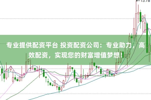 专业提供配资平台 投资配资公司:专业助力,高效配资,实现您的财富增值梦想!