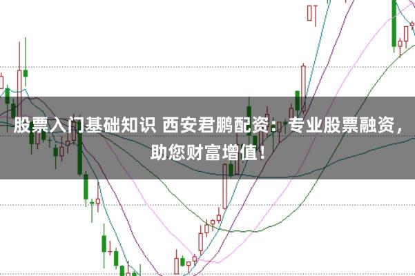 股票入门基础知识 西安君鹏配资：专业股票融资，助您财富增值！
