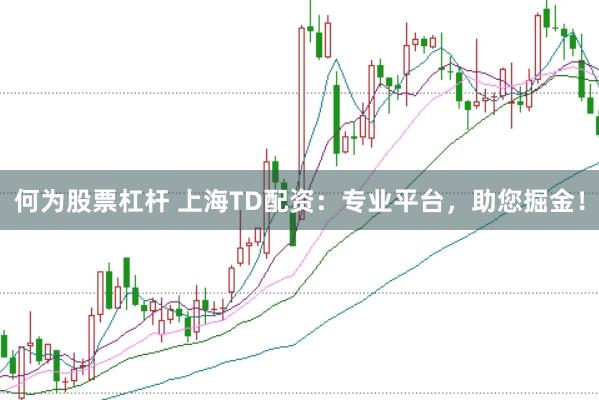 何为股票杠杆 上海TD配资：专业平台，助您掘金！