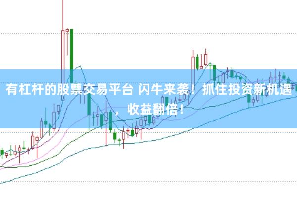 有杠杆的股票交易平台 闪牛来袭！抓住投资新机遇，收益翻倍！
