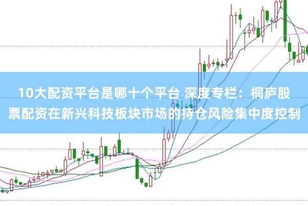 10大配资平台是哪十个平台 深度专栏：桐庐股票配资在新兴科技板块市场的持仓风险集中度控制