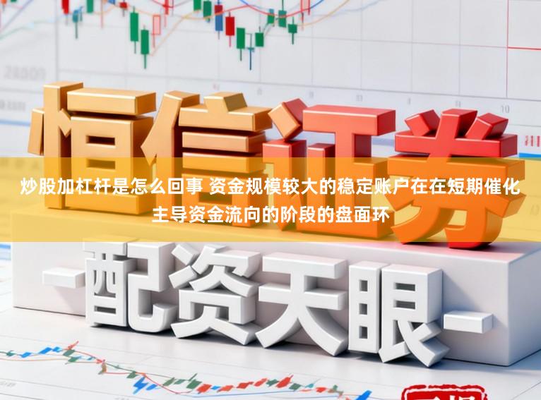 炒股加杠杆是怎么回事 资金规模较大的稳定账户在在短期催化主导资金流向的阶段的盘面环