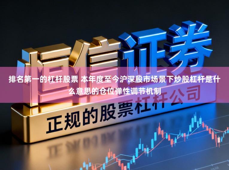 排名第一的杠杆股票 本年度至今沪深股市场景下炒股杠杆是什么意思的仓位弹性调节机制