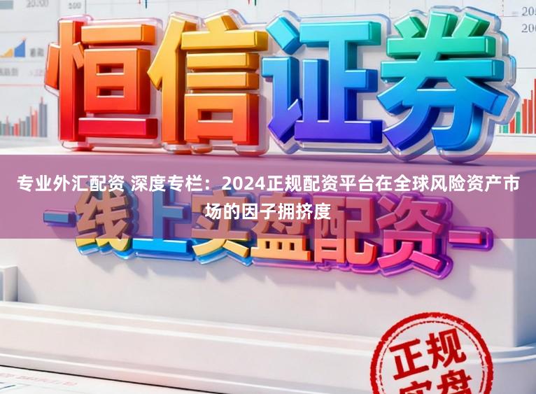 专业外汇配资 深度专栏：2024正规配资平台在全球风险资产市场的因子拥挤度