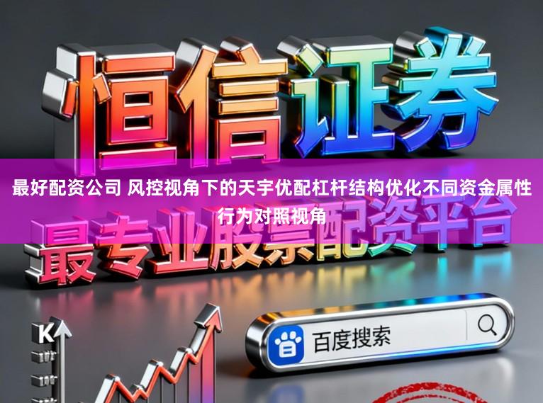 最好配资公司 风控视角下的天宇优配杠杆结构优化不同资金属性行为对照视角