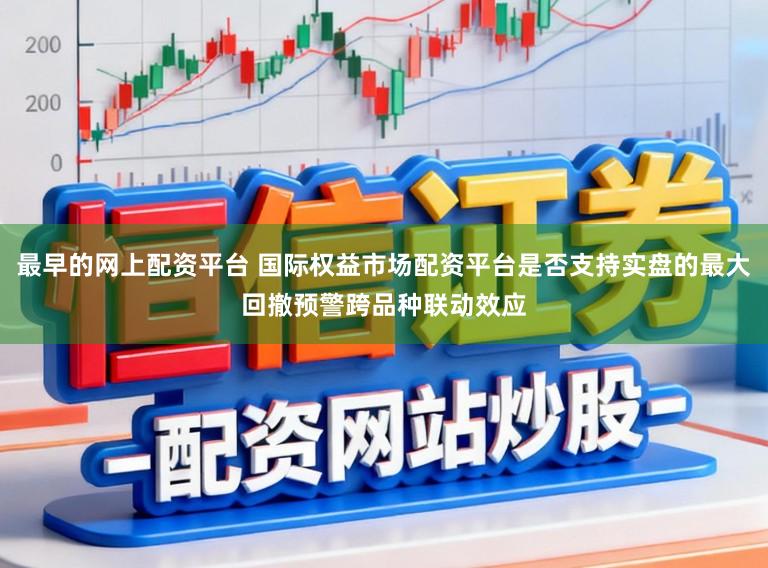 最早的网上配资平台 国际权益市场配资平台是否支持实盘的最大回撤预警跨品种联动效应